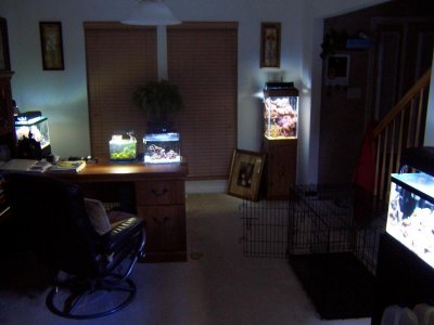100_1228.jpg