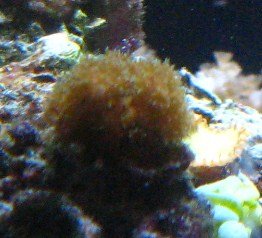 IMG_4091.jpg