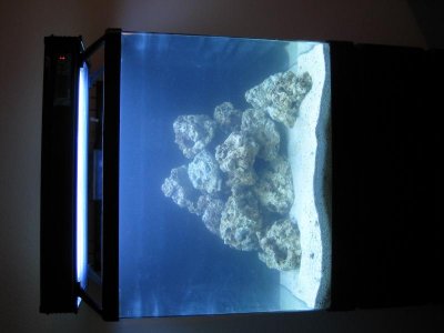 IMG_0493.jpg