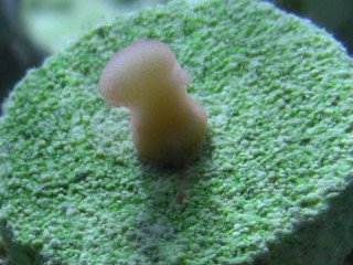 CIMG0875.JPG