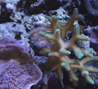 IMGP0541a (Medium).jpg