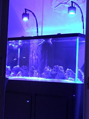 Salt Water Tank.jpg