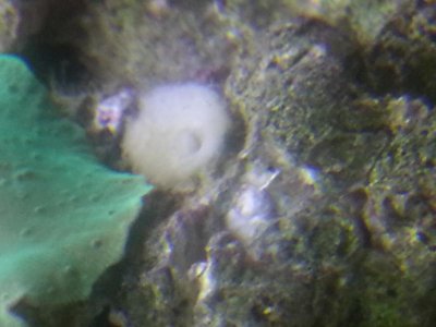 20151026_200241.jpg