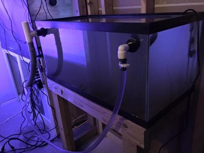 breeder tank 2.jpg
