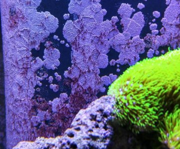 1026151746_HDR (2) - Copy.jpg