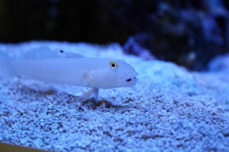 IMG_7094 (Large).jpg