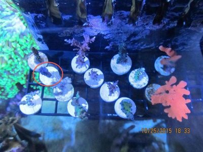 topview.jpg