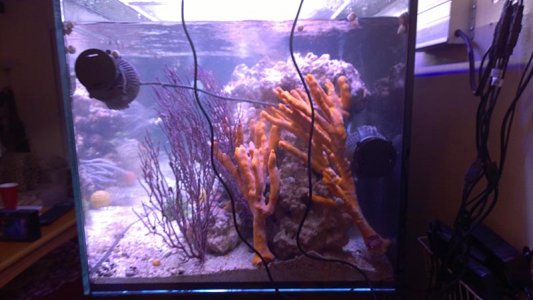 WP_20150925_06_37_27_Pro.jpg
