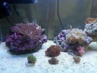 20150909_143829[1].jpg