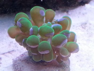 20150926_170316[1].jpg