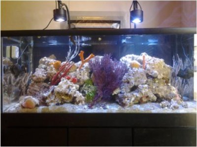 Tank-2015.jpg
