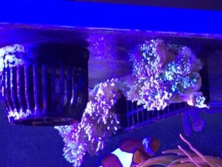 IMG_5110.JPG