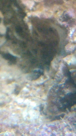 KIMG0037.jpg