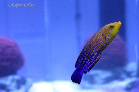 IMG_1659.jpg