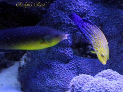 IMG_1307B.jpg