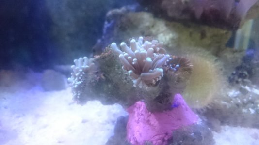 DSC_1261.JPG
