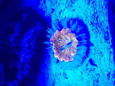 IMG_3528.jpg