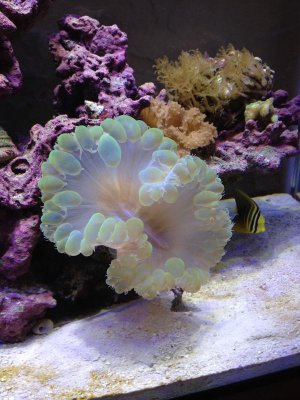 IMG_1569.jpg