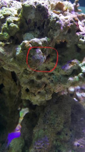 2015-10-31 08.31.25.jpg