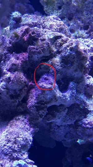 2015-10-31 08.33.07.jpg