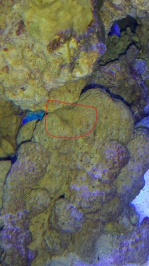 2015-10-31 08.33.28.jpg