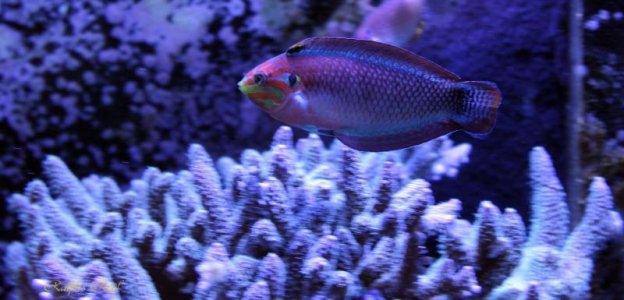 IMG_3039.jpg