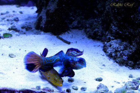 IMG_1674_resize.jpg