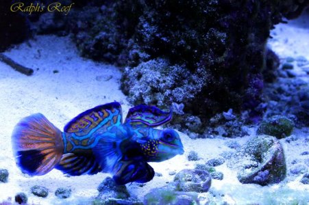 IMG_1678.jpg