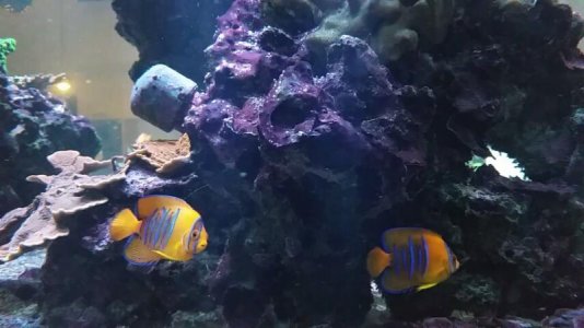 uploadfromtaptalk1443606317954.jpg uploadfromtaptalk1443606317954.jpg