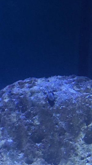 IMG_1509.jpg