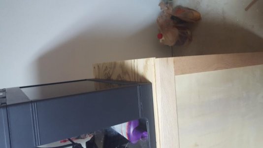 2015-11-01 20.05.20.resized.jpg