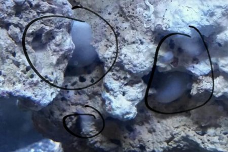 2015-11-01 21.03.44.jpg