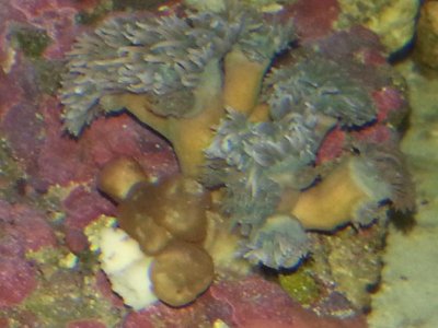 20151002_031217[1].jpg