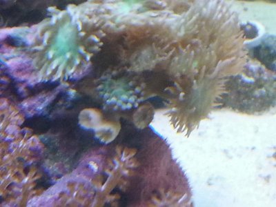 20151001_162423[1].jpg