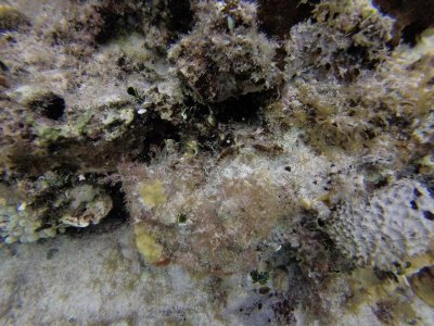 G0584302.jpg G0584302.jpg