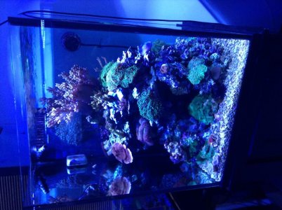 IMG_1659.jpg IMG_1659.jpg