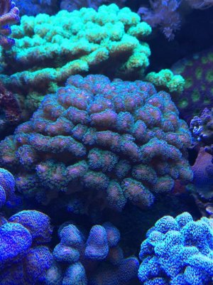 IMG_2268.jpg
