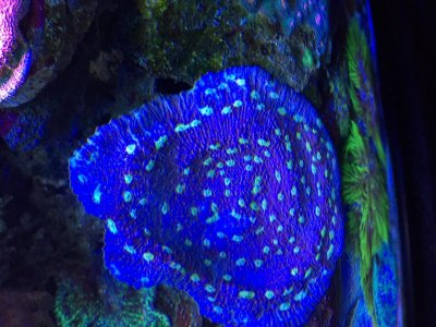 IMG_2260.jpg