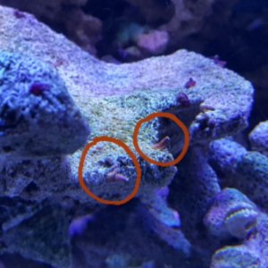 2015-11-04 09.51.00.jpg