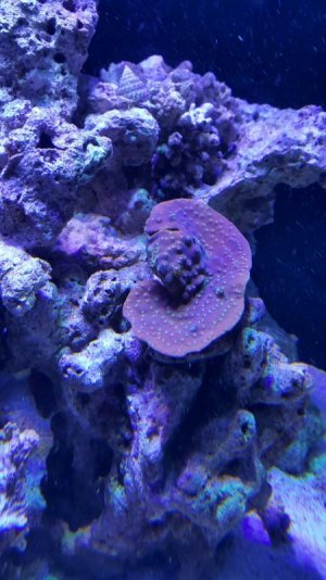 2015-11-04 09.49.04.jpg