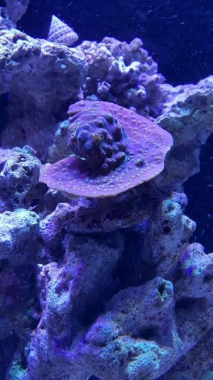 2015-11-04 09.49.32.jpg