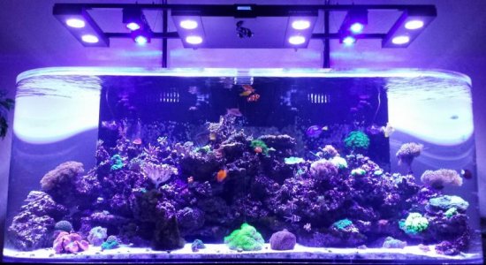 27 April 2015 - RB Add-On LEDs.jpg