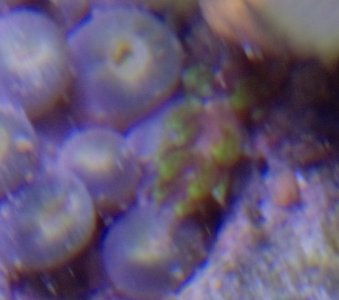 DSC_0220 (4).jpg DSC_0220 (4).jpg