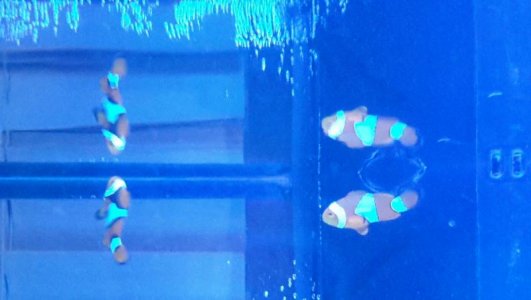 2015-11-10 20.29.00.jpg