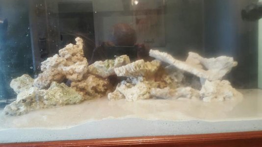 20151107_115537 (1).jpg