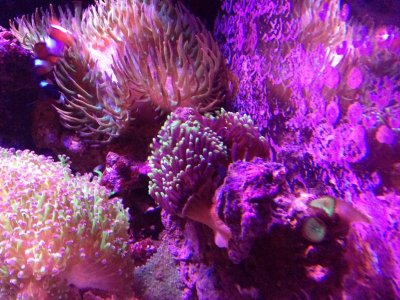 IMG_0824.jpg