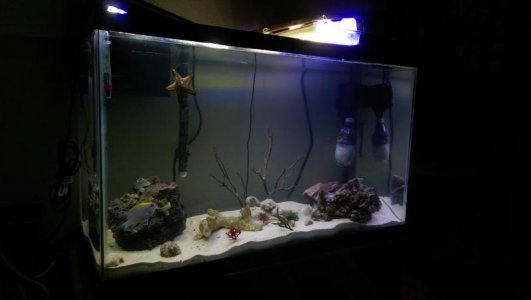 IMAG2446.jpg