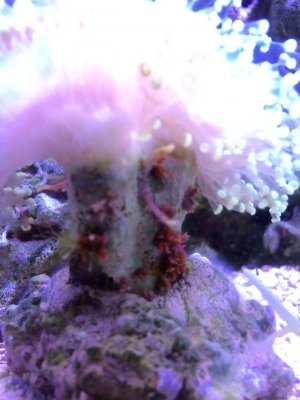 IMG_5112.jpg