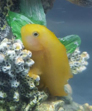 20151114_202903 (2).jpg