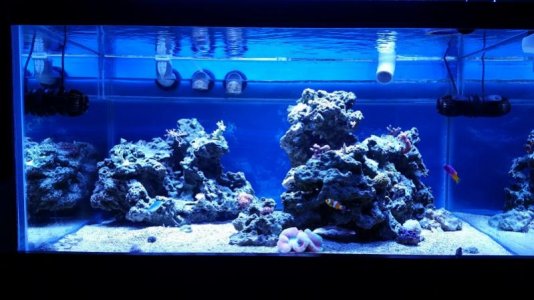 20151108_172818.jpg 20151108_172818.jpg